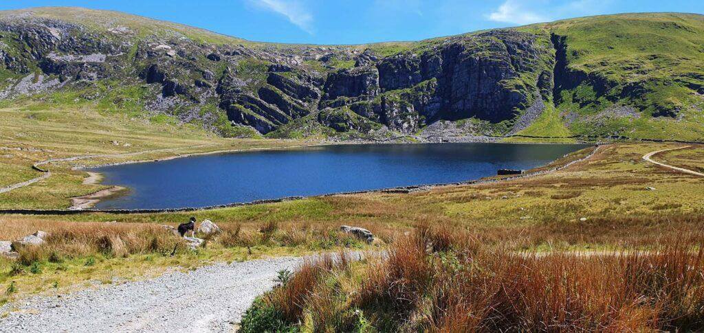 A small mountain lake bordered by grassy hills and rocky terrain under a blue sky with light clouds.