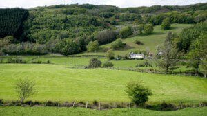 Land and property