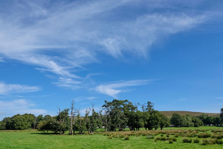 Family farm diversification – South Snowdonia